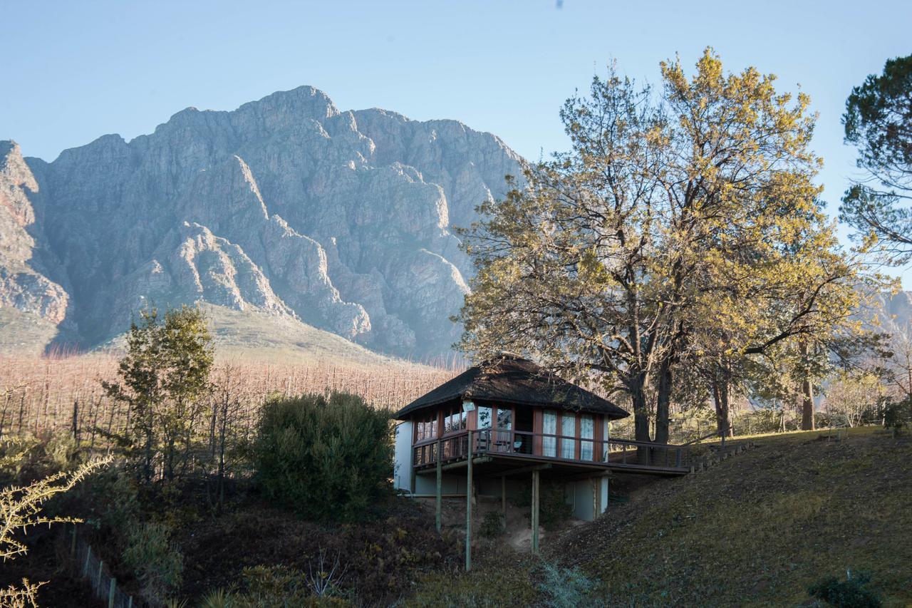 Tulbagh Mountain Manor Pensionat Kapstaden Eksteriør billede